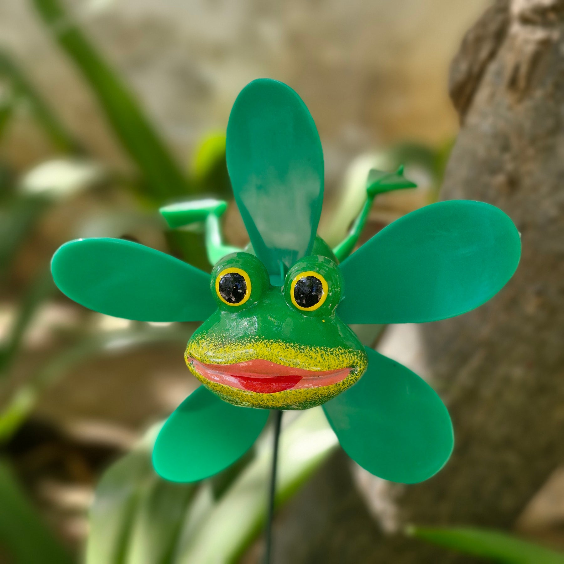 #S40 Handsome Froggie ( Set Of 2 )
