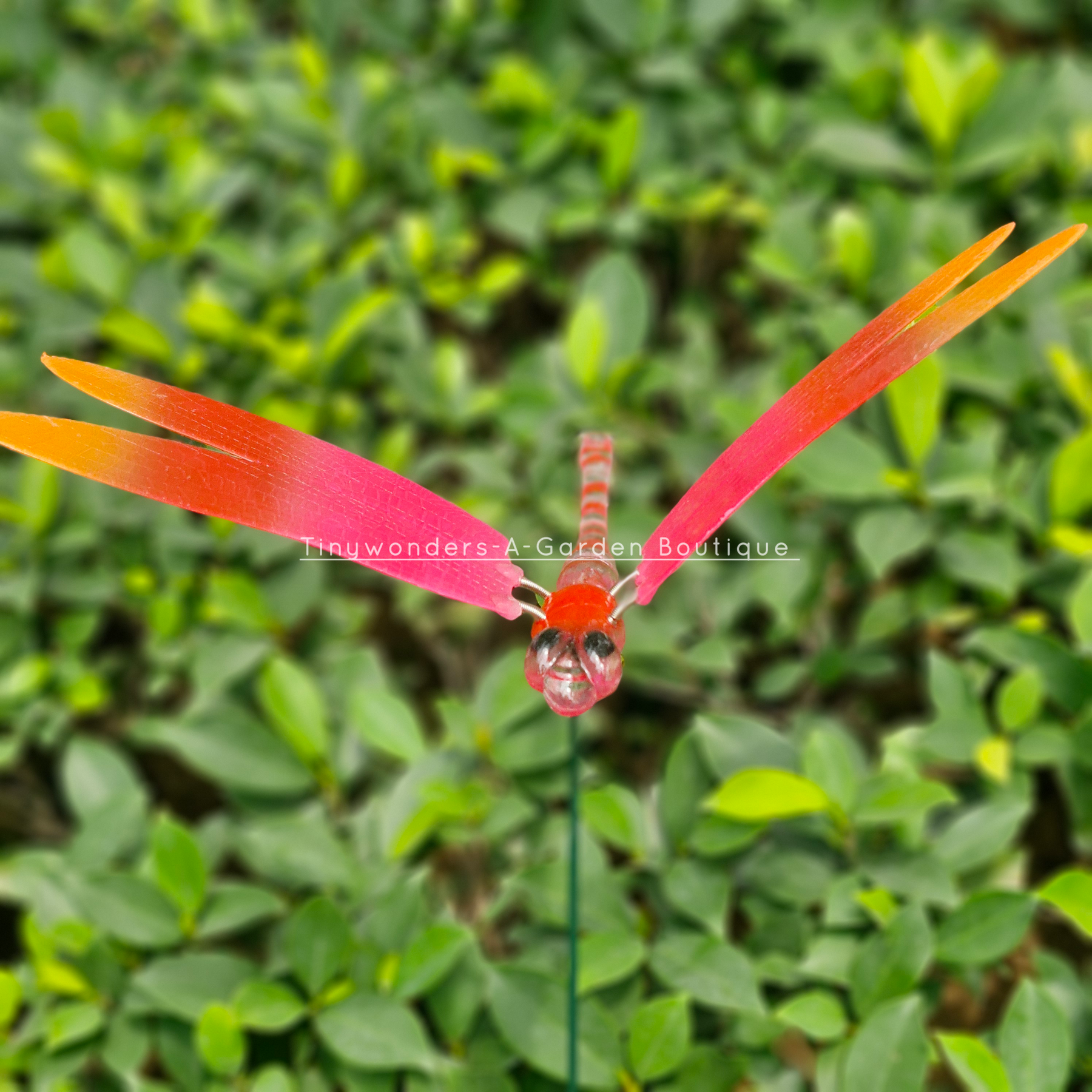 #S49 Colourful Dragonfly Stick ( Set Of 2 )