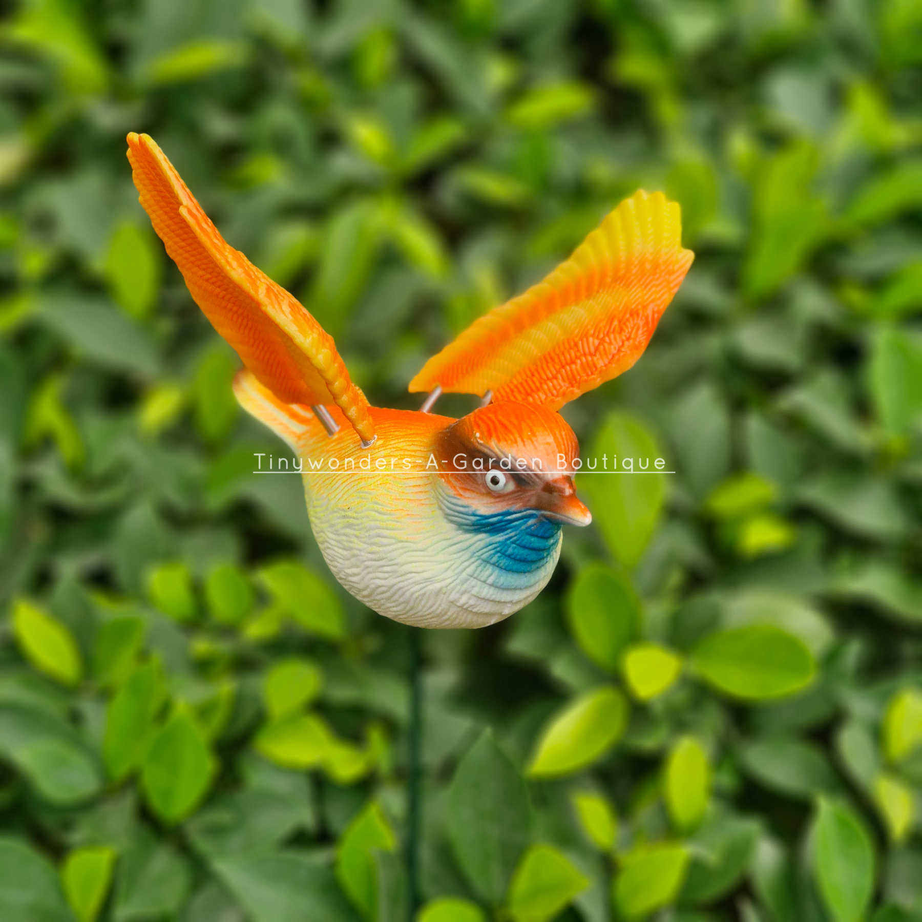 #S56 Flying Birds ( Set Of 2 ) Random Colour