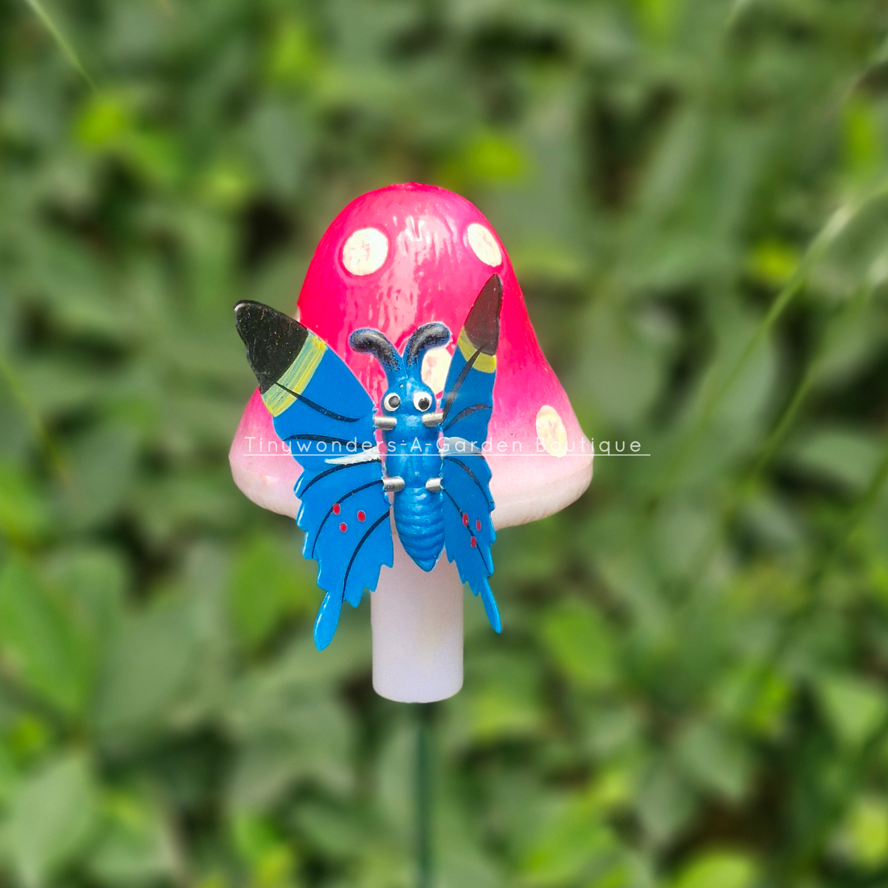 #S57 Big Butterfly On Mushroom ( Set Of 2 )