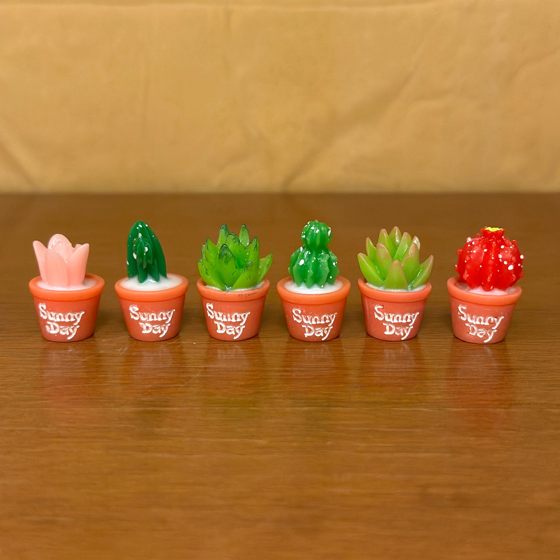 #457 Cactus (Set of 6)