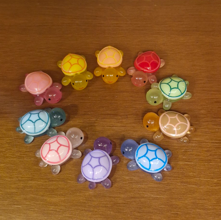 #494 Turtle 1 (Set of 5) Random Colour