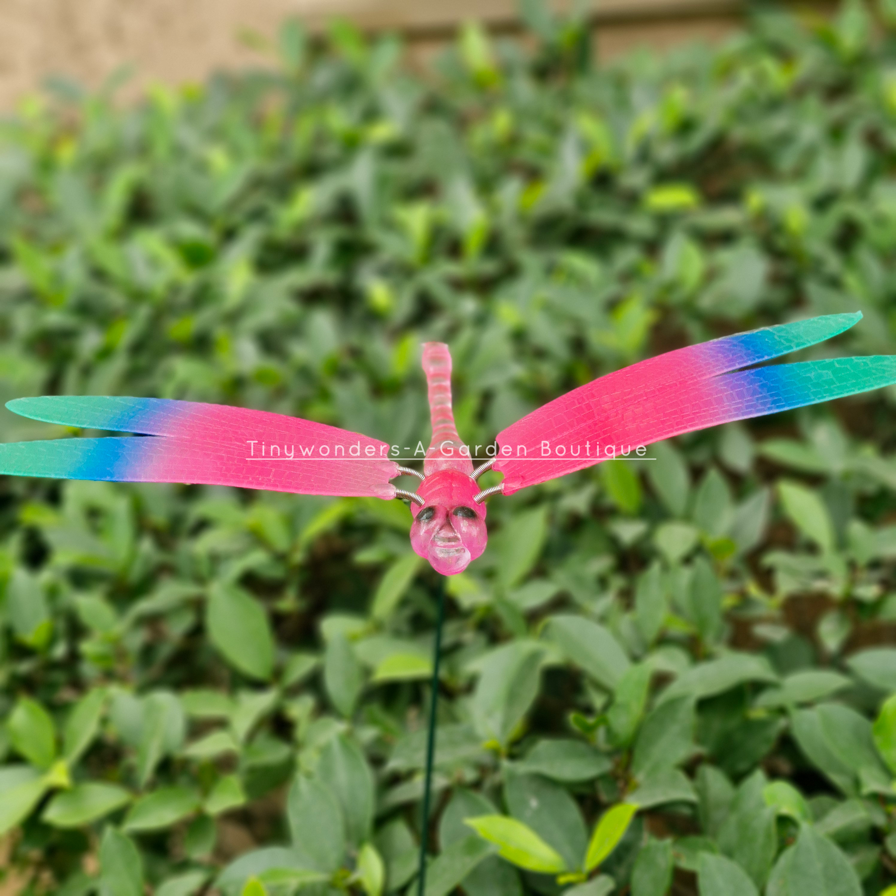 #S49 Colourful Dragonfly Stick ( Set Of 2 )
