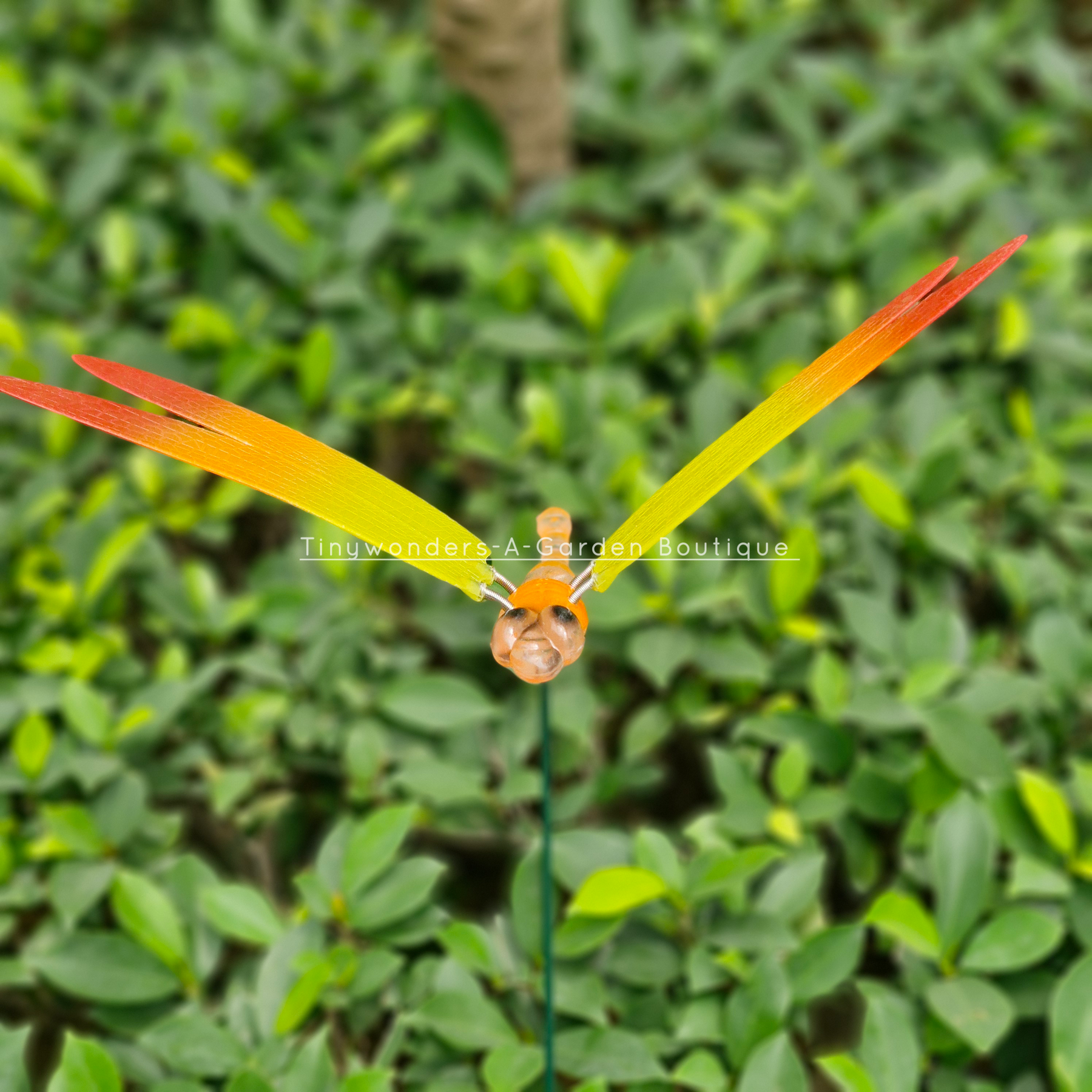 #S49 Colourful Dragonfly Stick ( Set Of 2 )