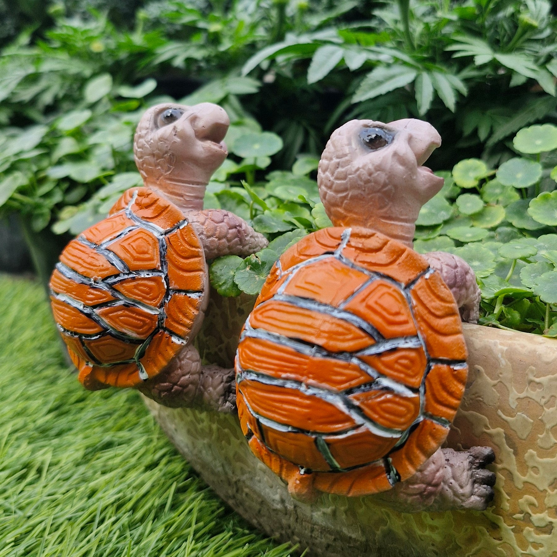 Turtle Plant Huggers (Set Of 2 )