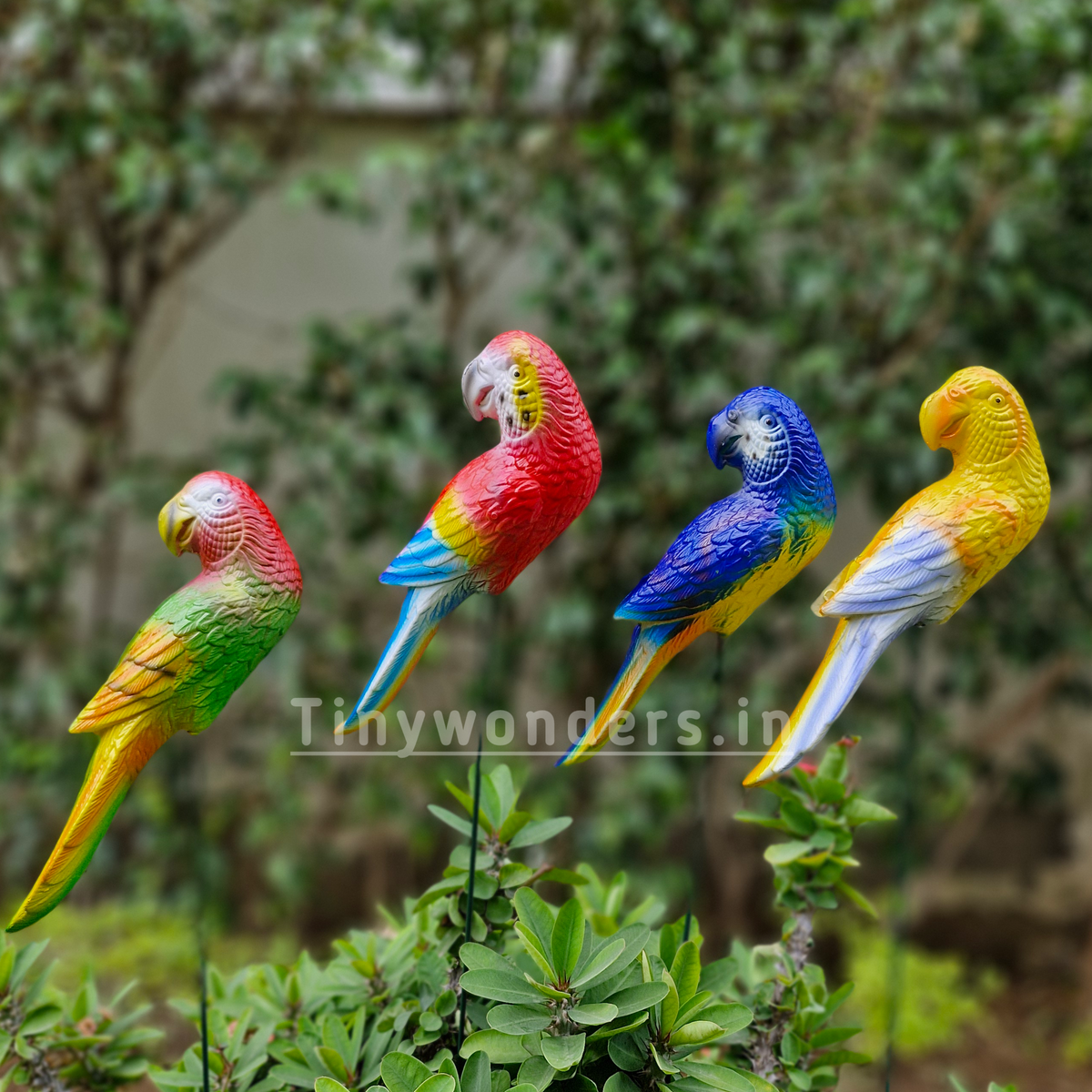 #S63 Big Colourful Parrot Sticks/ Stakes ( Set Of 2 ) Random Colour