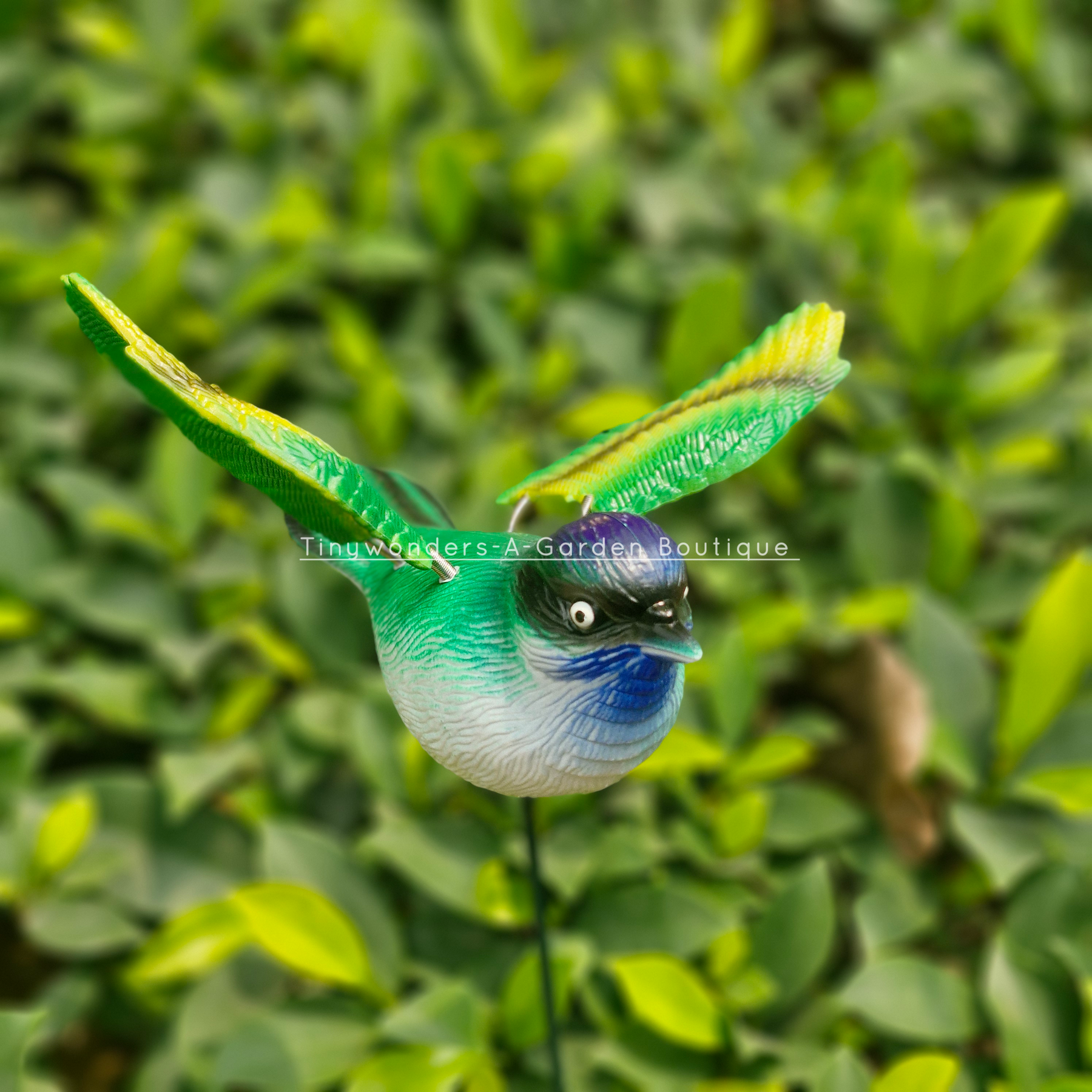 #S56 Flying Birds ( Set Of 2 ) Random Colour