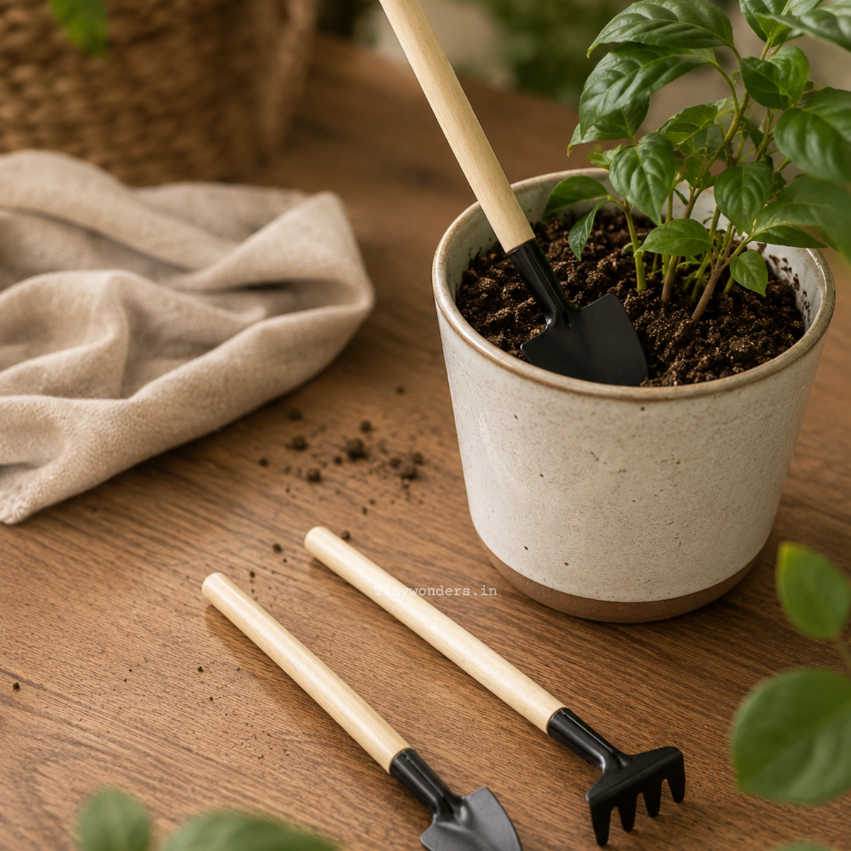 Minimalist Indoor Gardening Tool Set Of 3