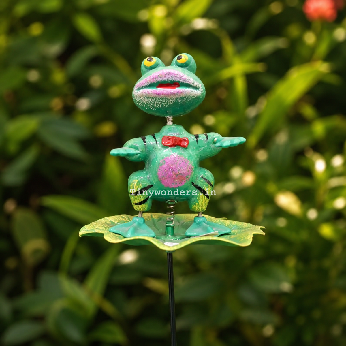 #S17 Frog