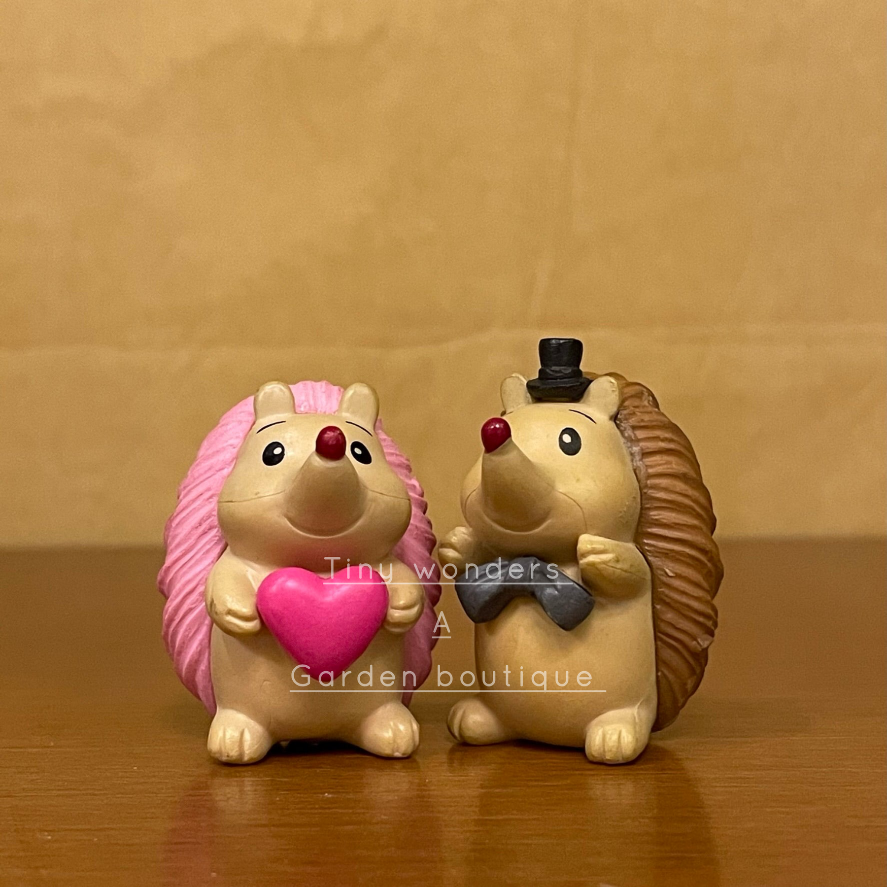 #005 Hedgehog Couple (Set Of 2) random colour