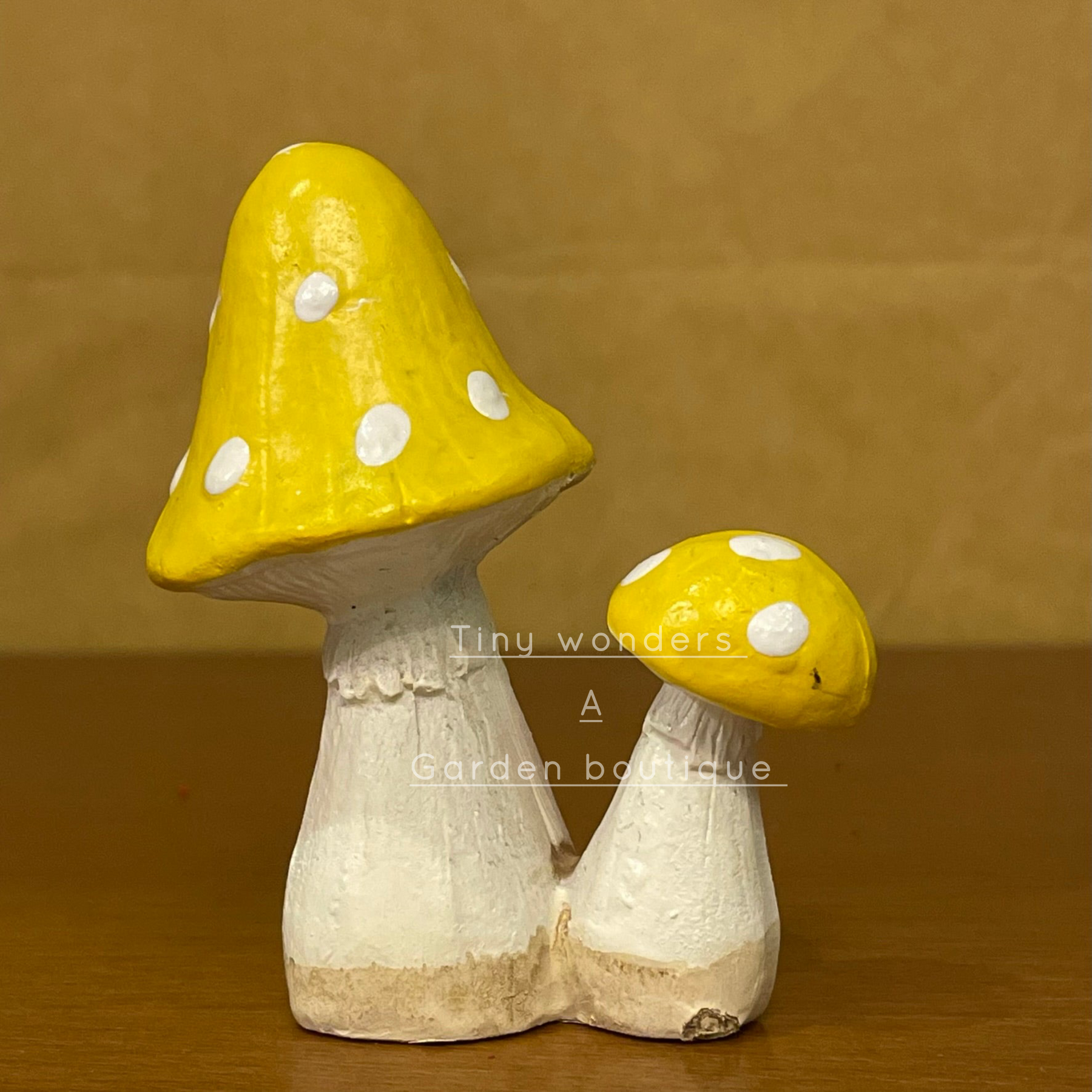 #032 Mushroom (PER UNIT) Random Colour