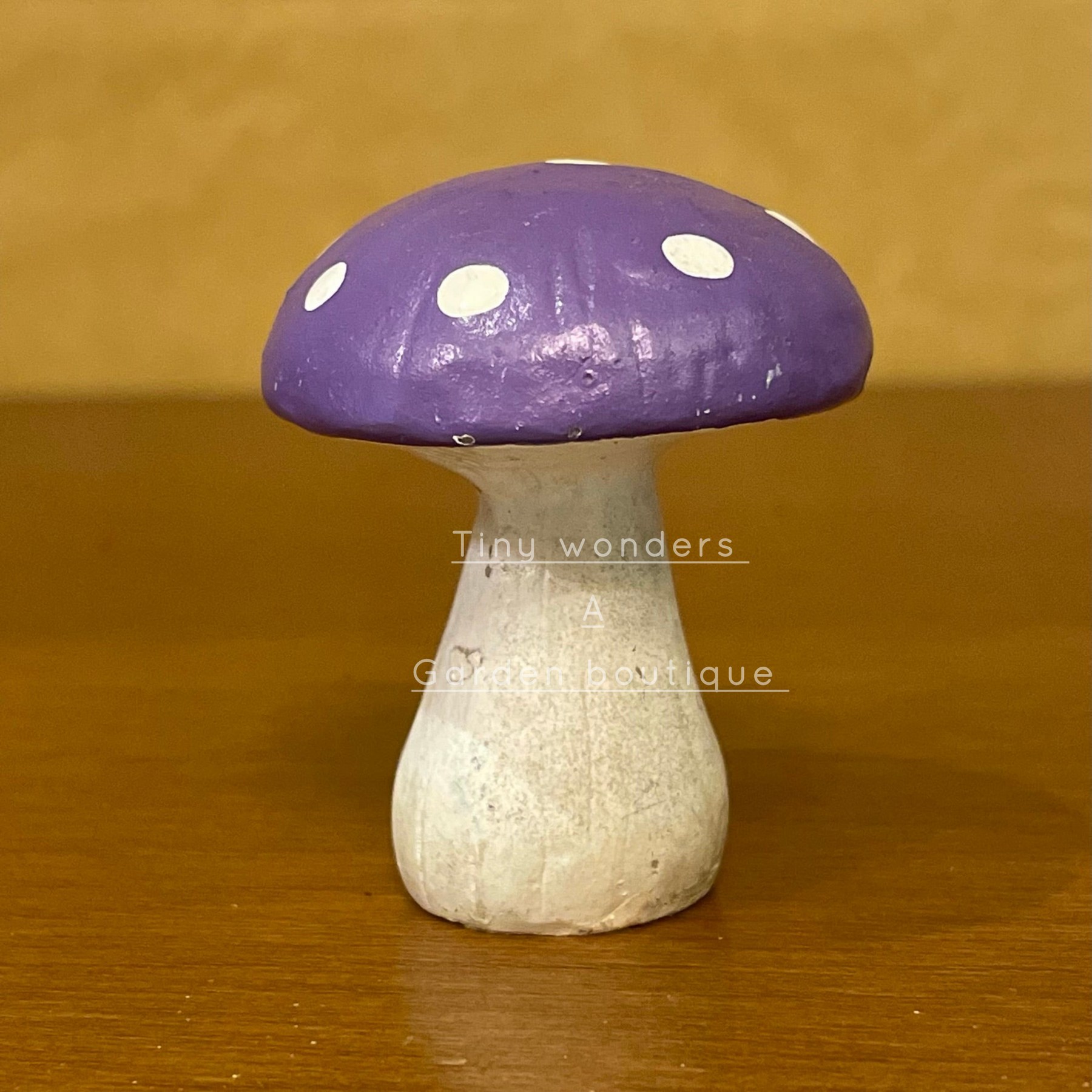 #033 Mushroom (PER UNIT) Random Colour