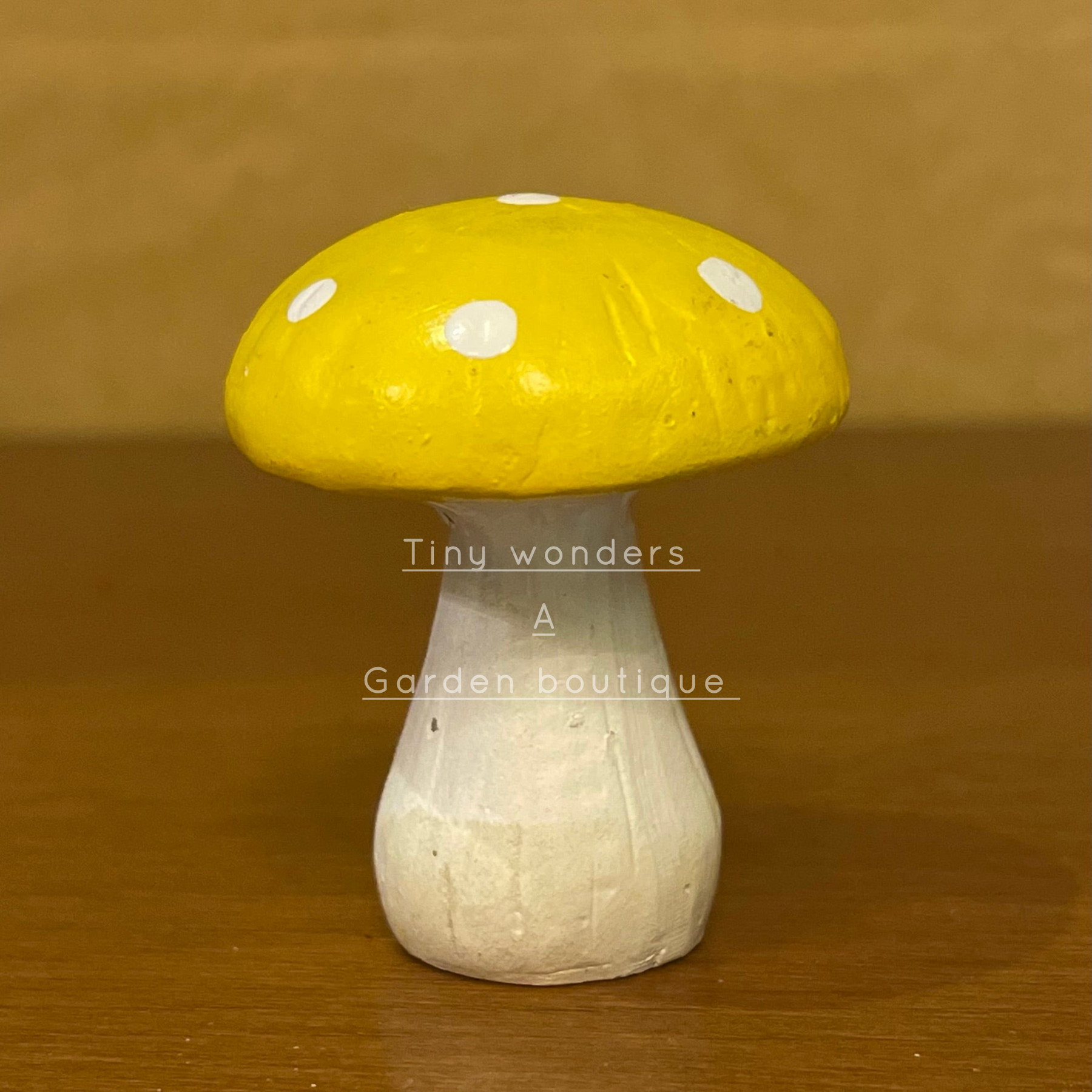 #033 Mushroom (PER UNIT) Random Colour