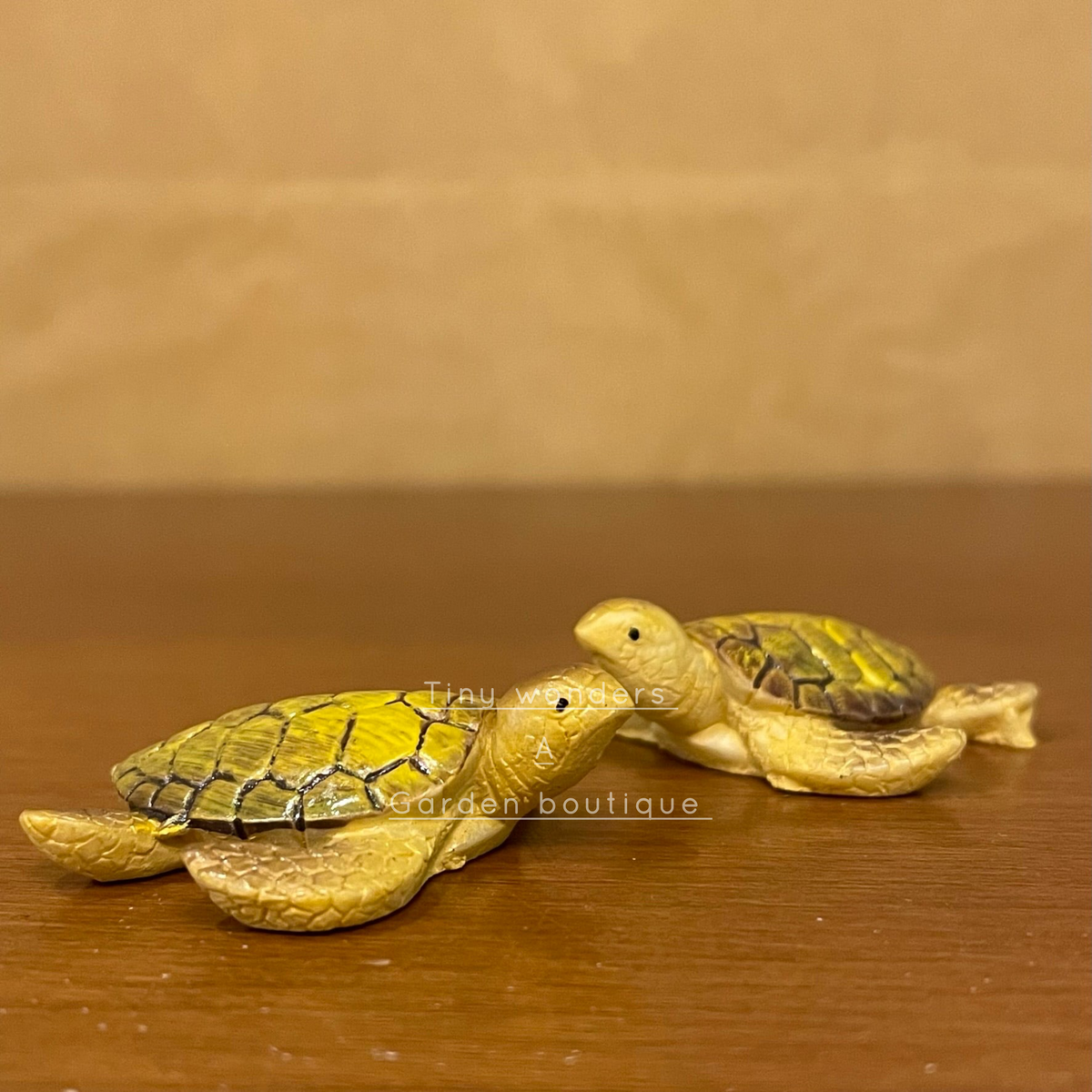 #087 Miniature Turtle Big ( Set Of 2 )