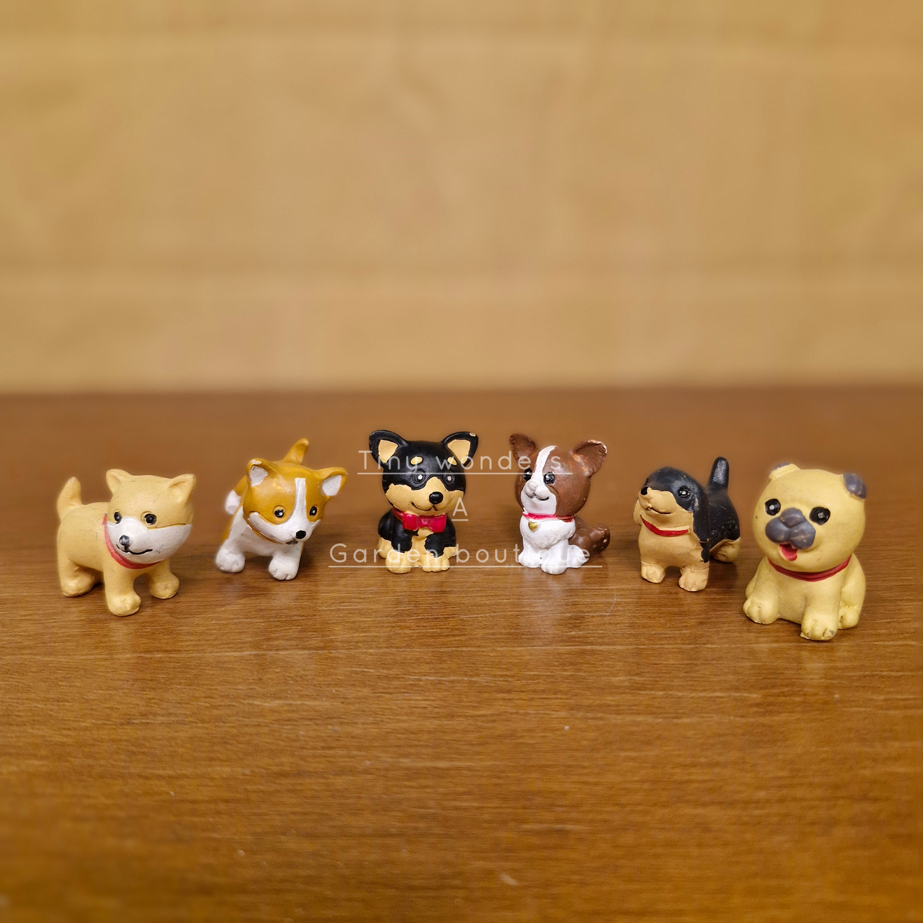 #097 Small Puppy (PER UNIT) Random Design