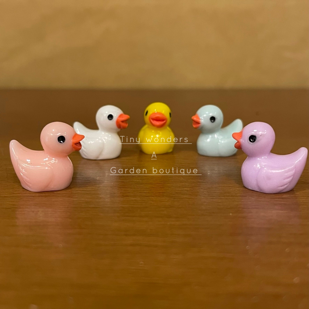 #215 Miniature Mini Ducks (Set Of 5)