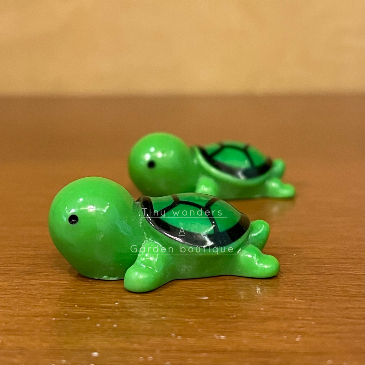#253 Miniature Tortoise ( set of 2 )