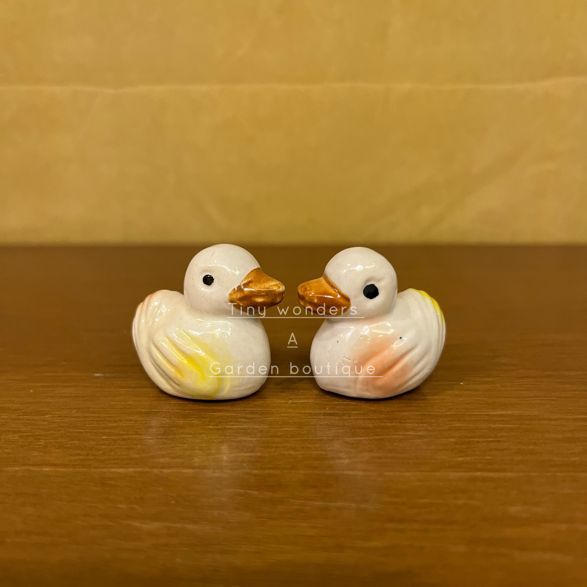#C05 Duck ( set of 2 )