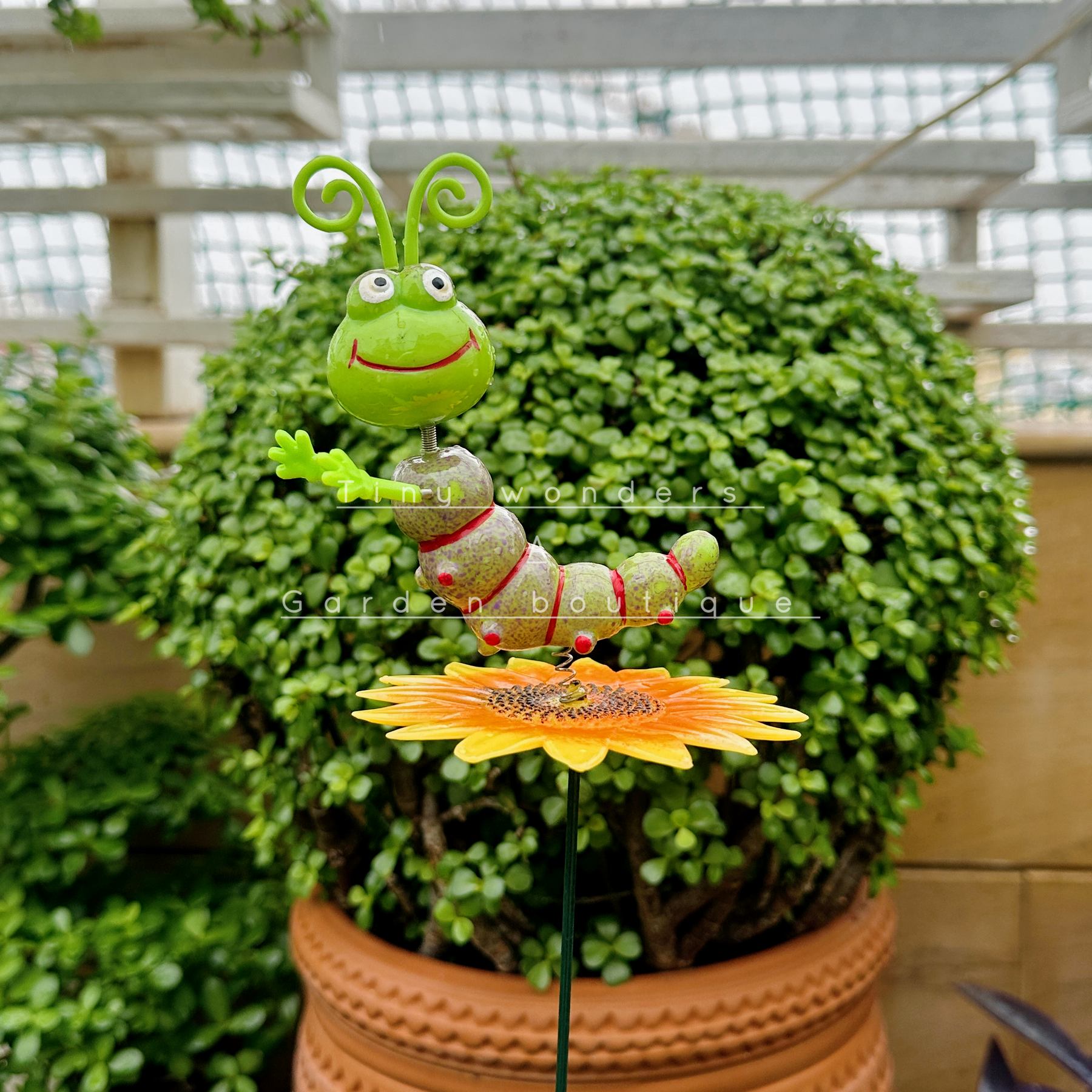 #S03 Smiling Caterpillar Stick ( Set of 2) random colour