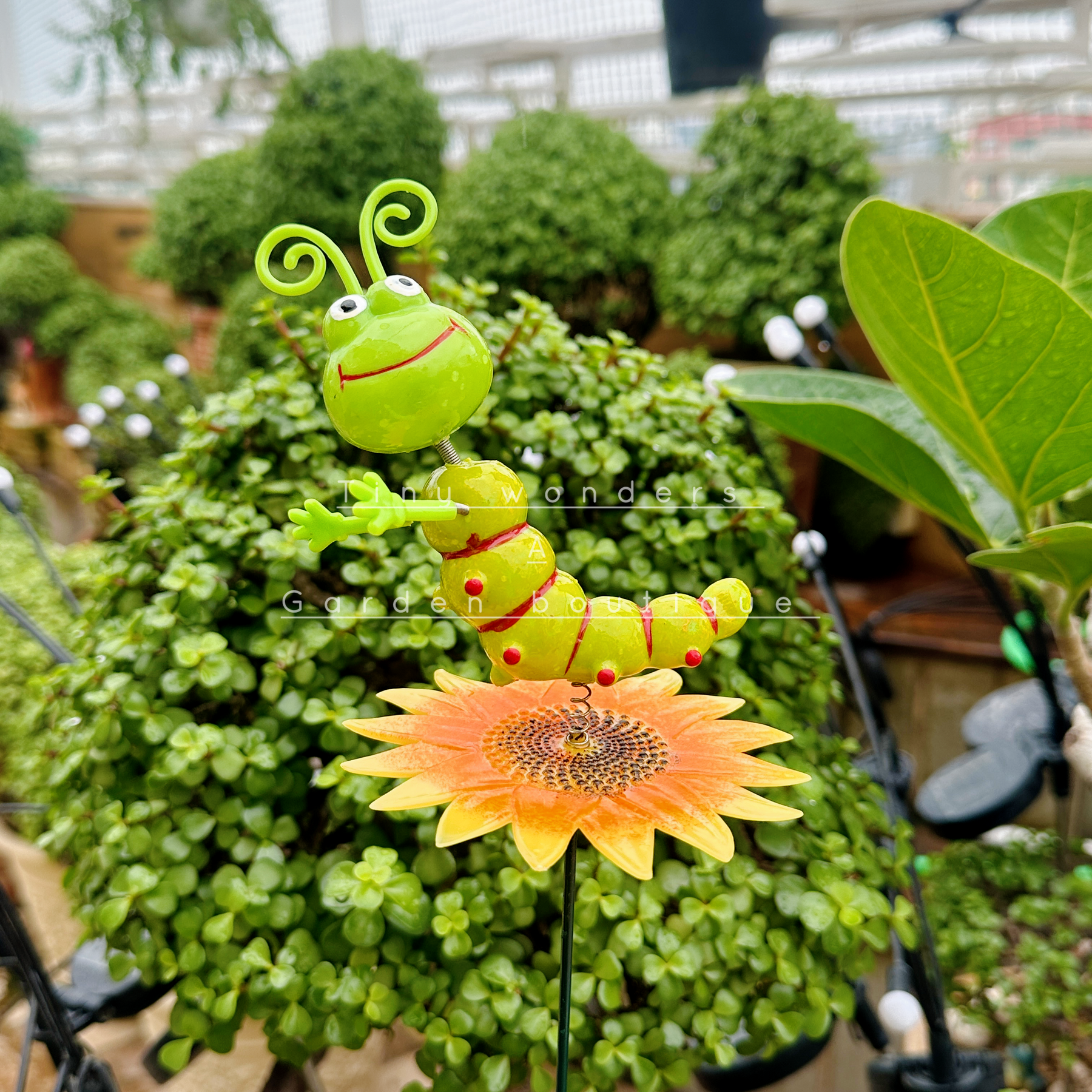 #S03 Smiling Caterpillar Stick ( Set of 2) random colour
