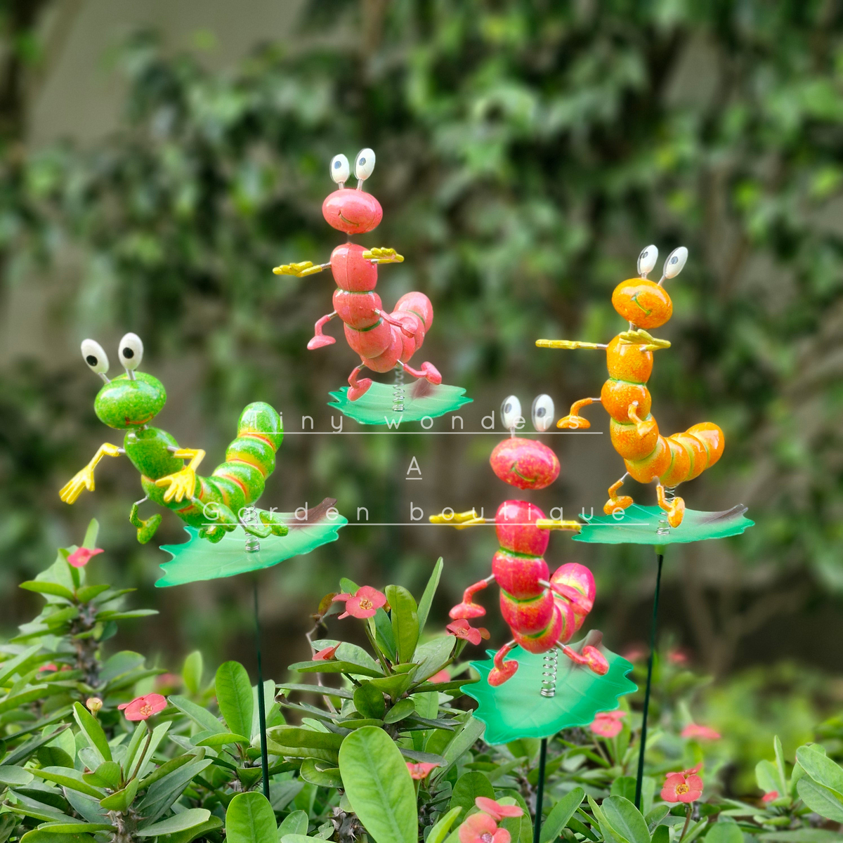 #S41 Colourful caterpillars ( Set Of 2 )