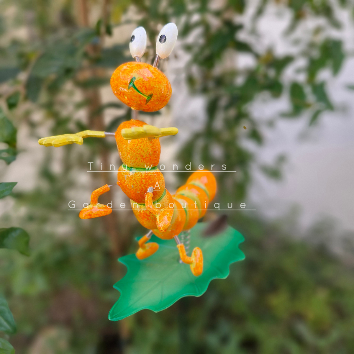 #S41 Colourful caterpillars ( Set Of 2 )