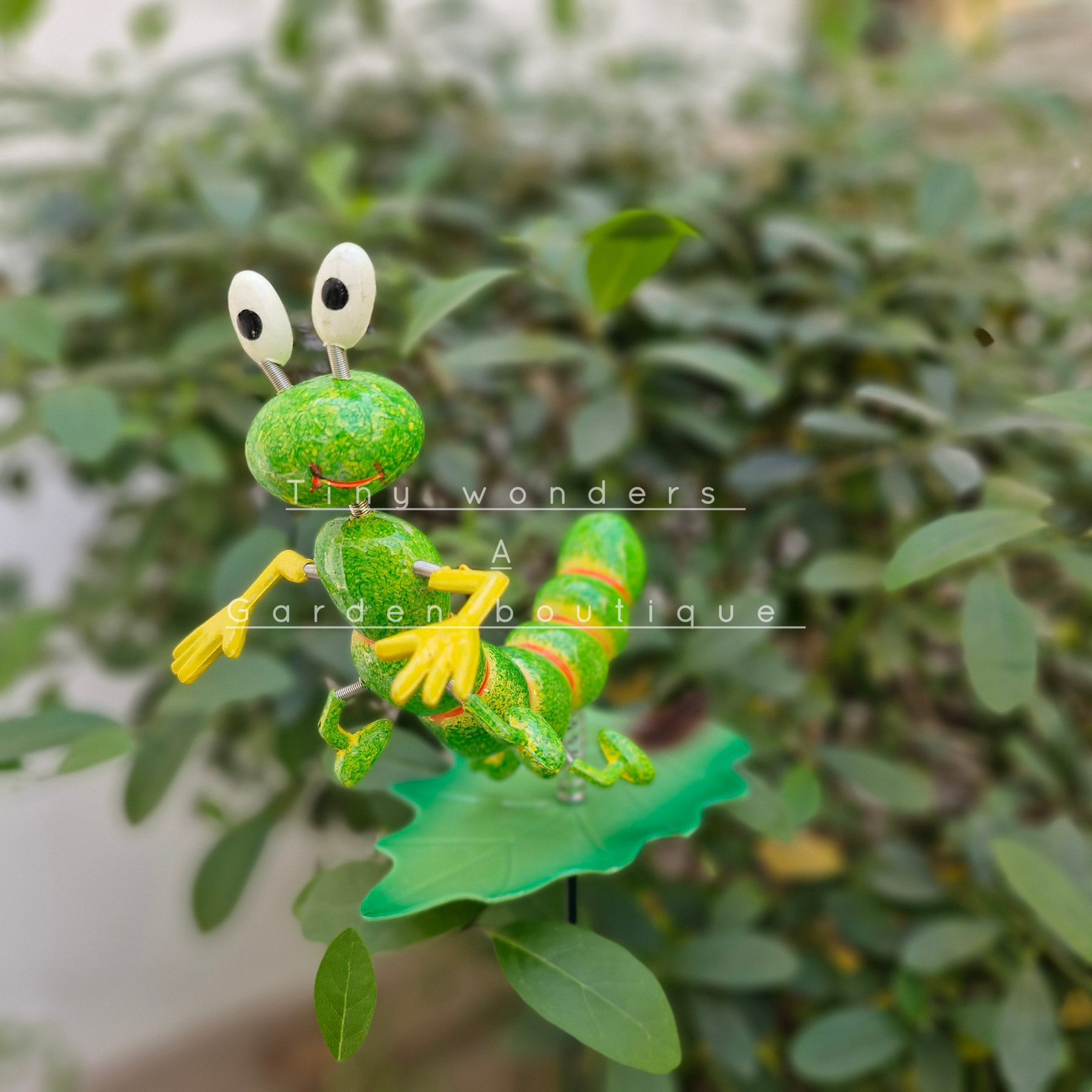 #S41 Colourful caterpillars ( Set Of 2 )