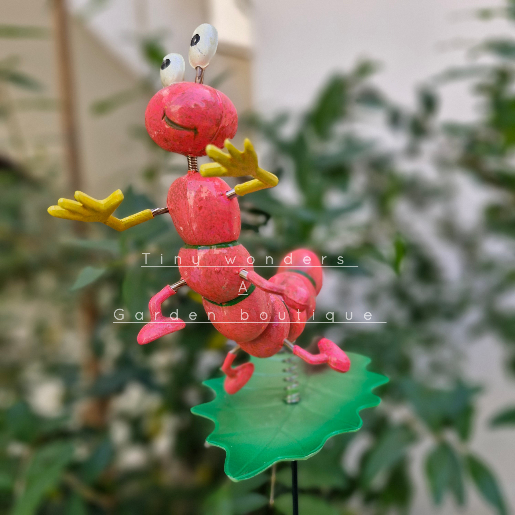 #S41 Colourful caterpillars ( Set Of 2 )