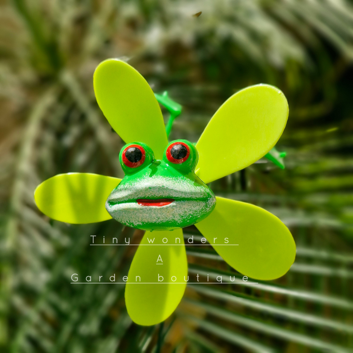 #S40 smiling Froggie ( Set Of 2 )