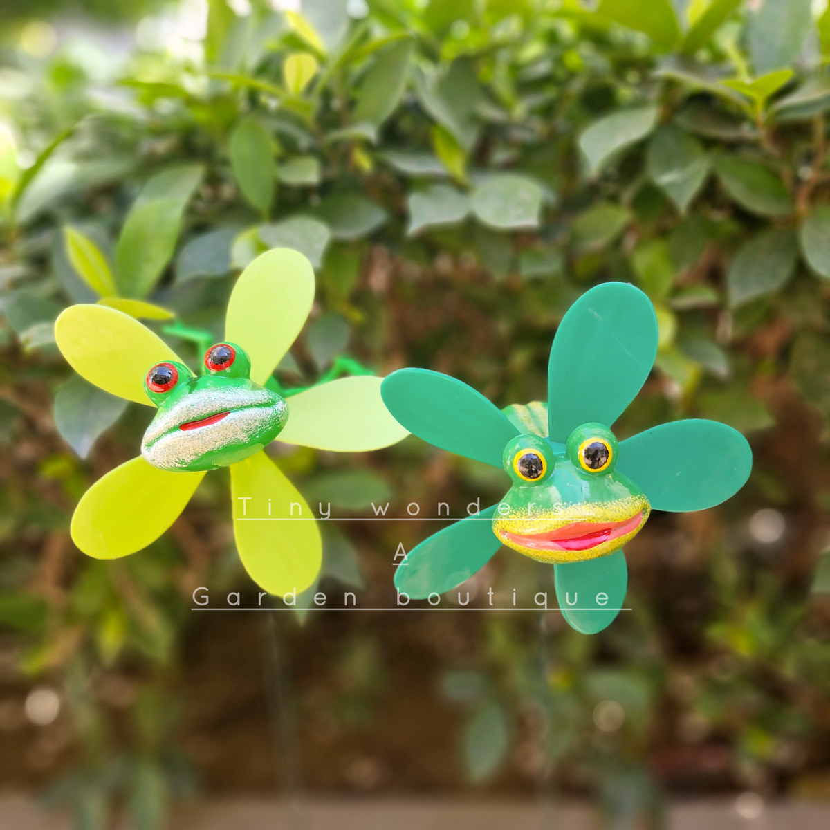 #S40 smiling Froggie ( Set Of 2 )