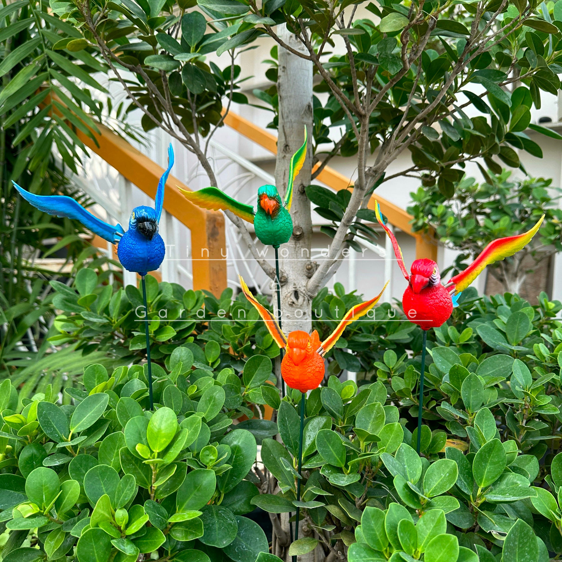 #S36 Colourful Parrots with wings ( set of 2 )