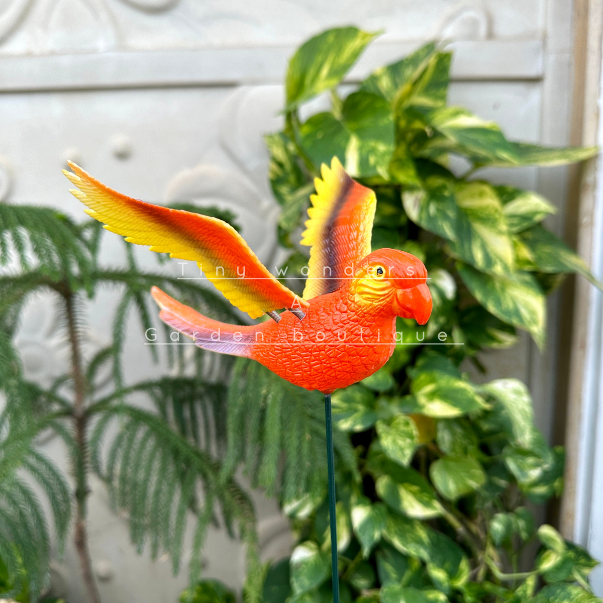 #S36 Colourful Parrots with wings ( set of 2 )