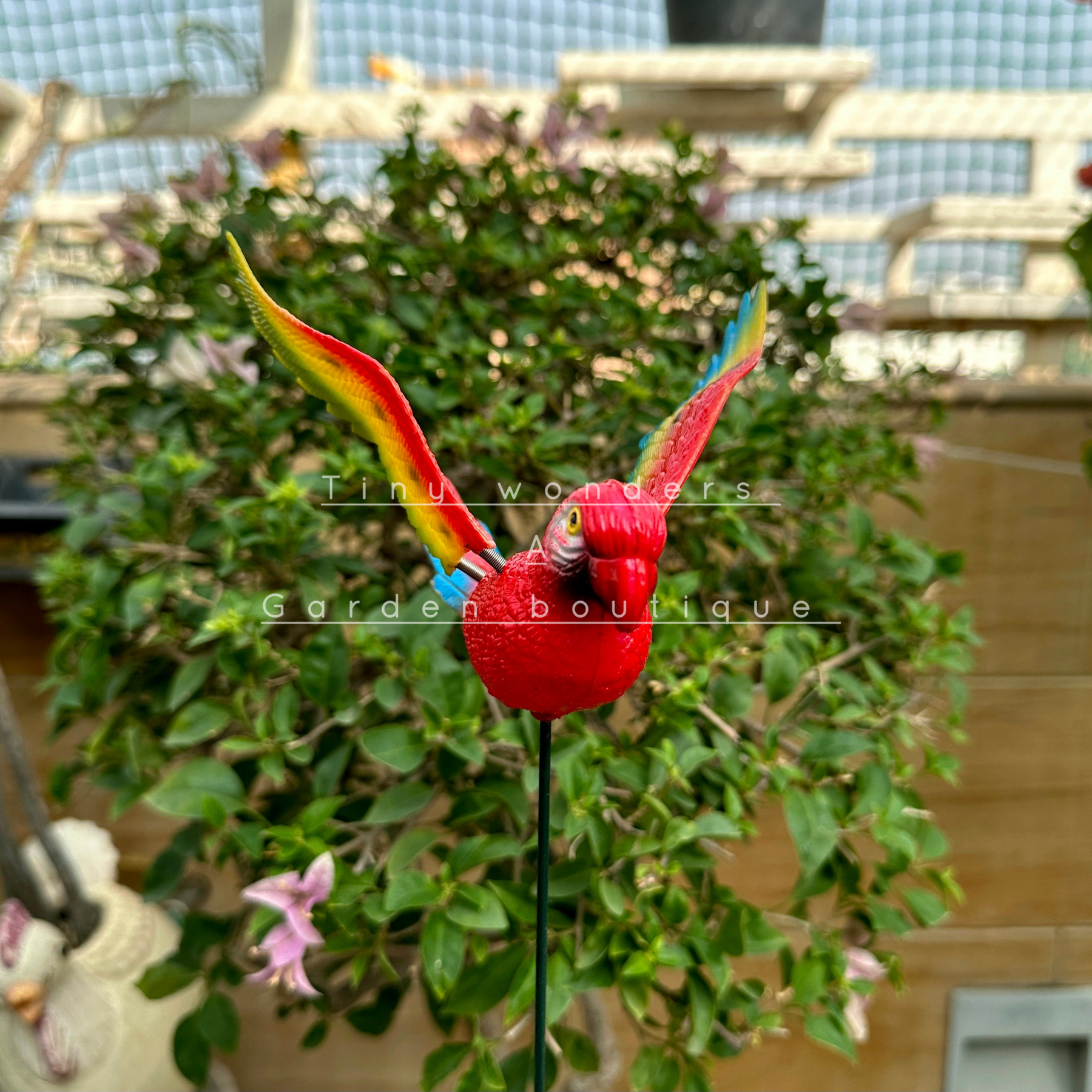 #S36 Colourful Parrots with wings ( set of 2 )