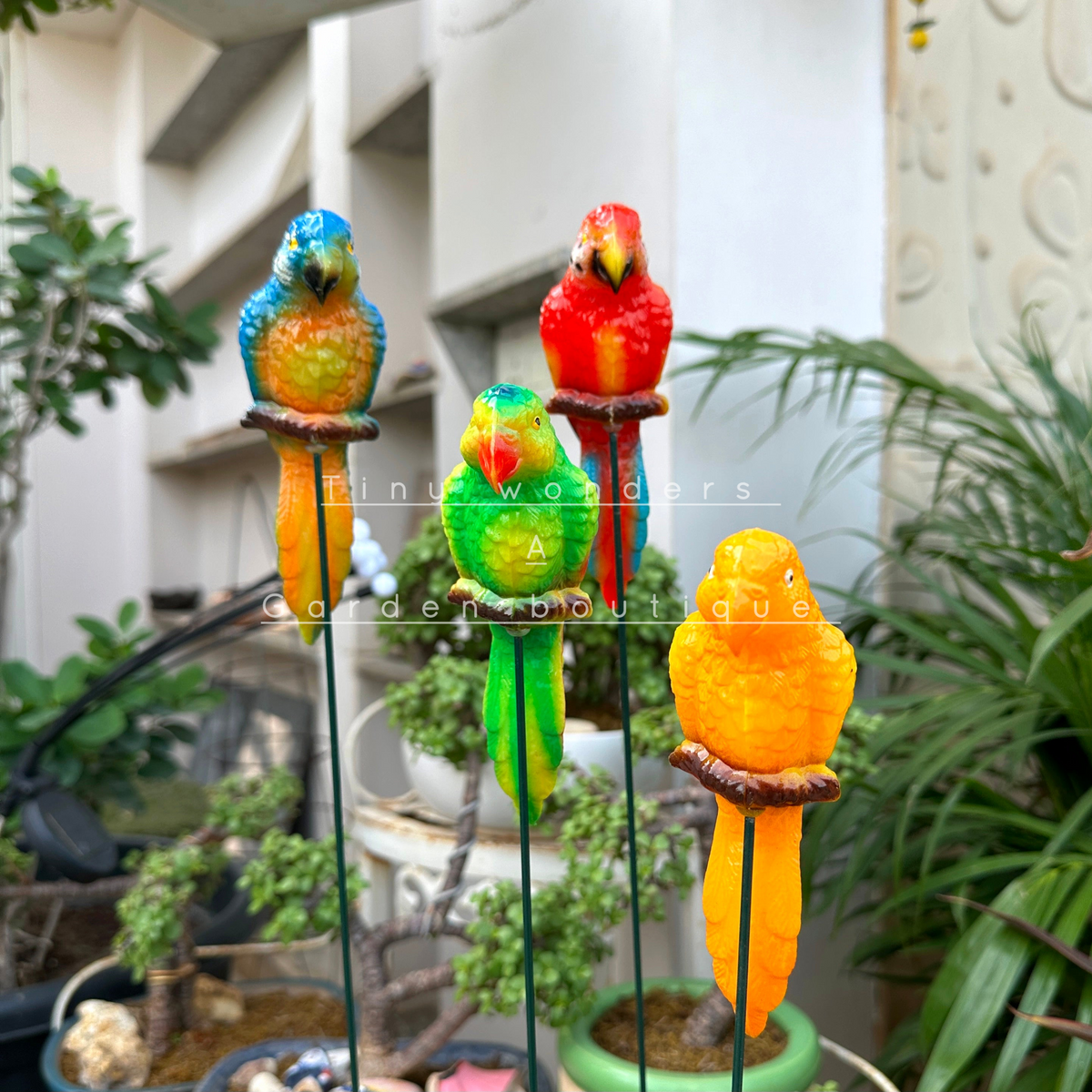 #S50 Colourful parrots ( set of 2 )