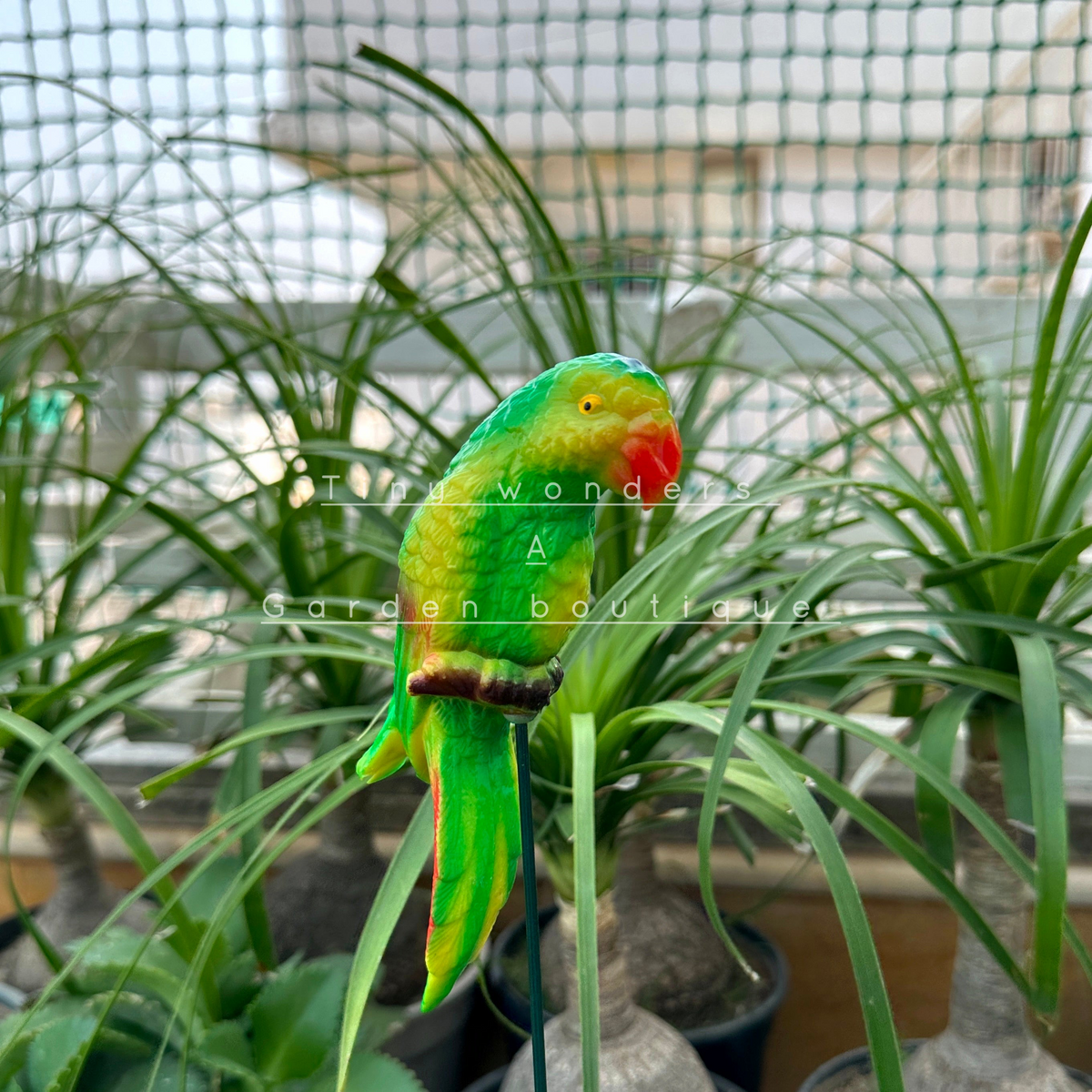 #S50 Colourful parrots ( set of 2 )