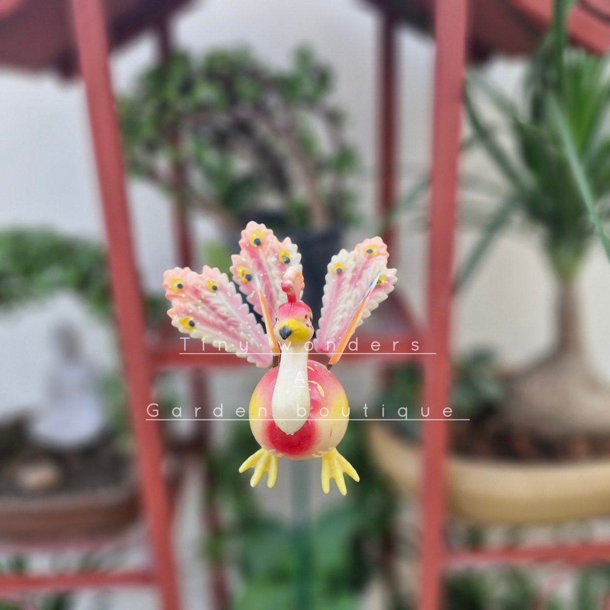 #S35 Peacock new ( per unit ) random colour