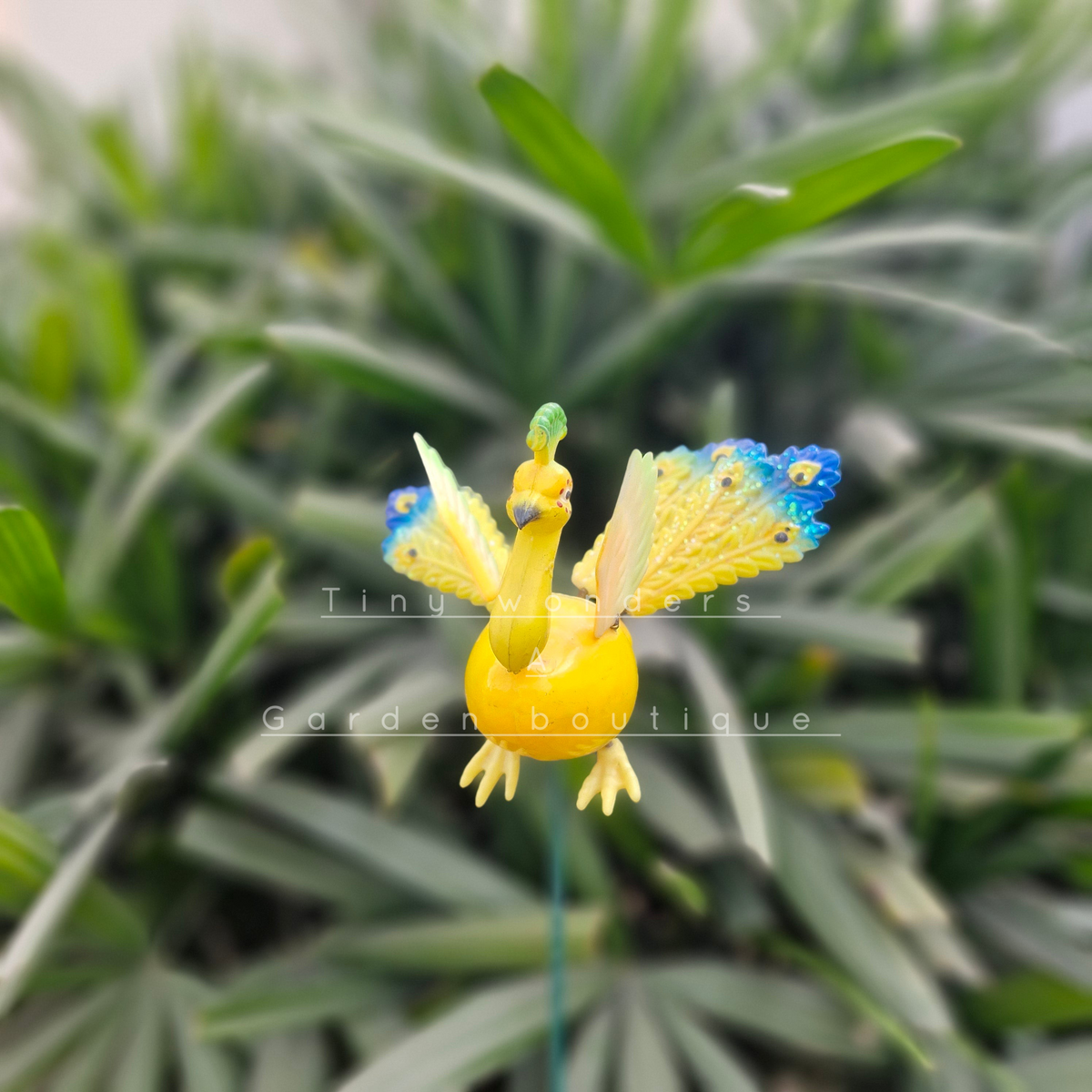 #S35 Peacock new ( per unit ) random colour