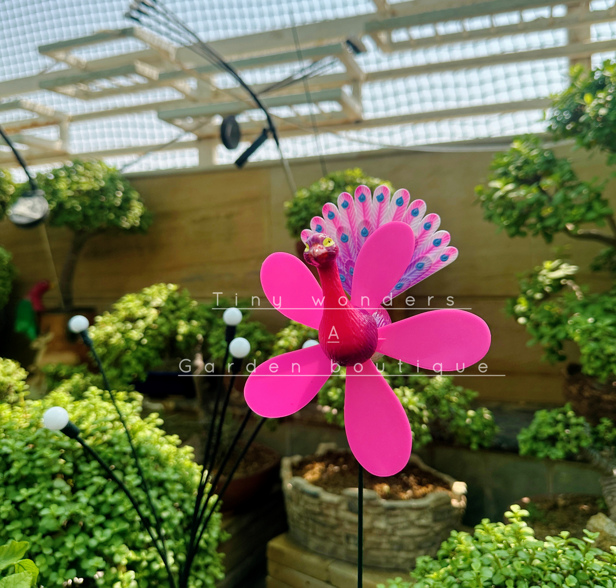 #S14 Peacock With Wings ( set Of 2 ) Random Colour