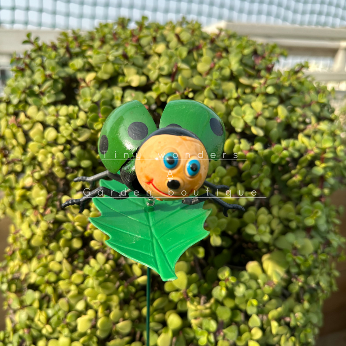 #S20 Lady Bug Green