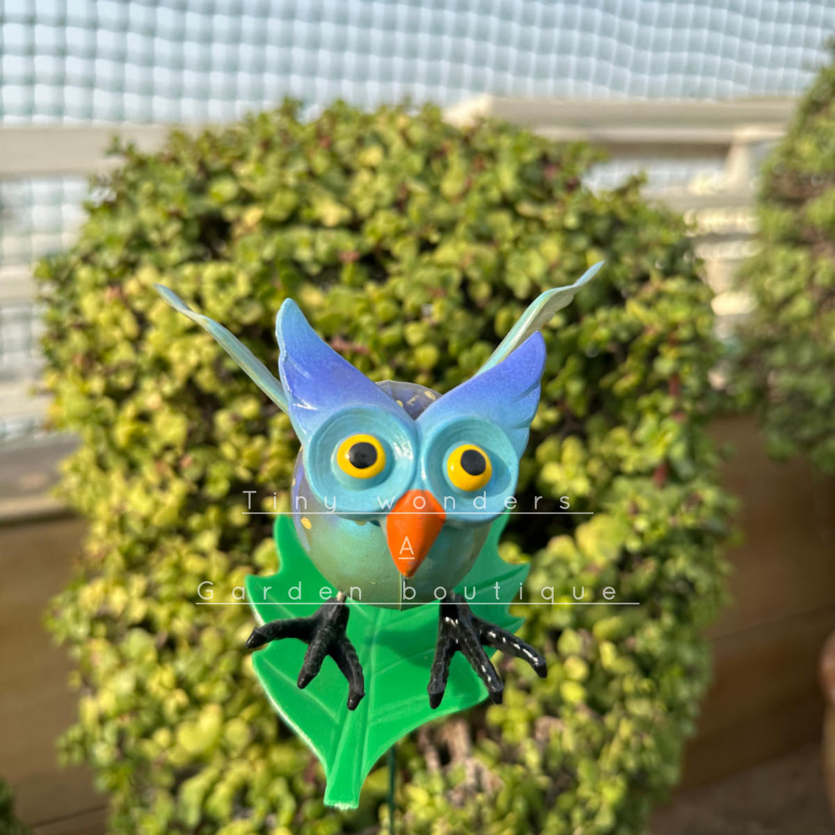 #S23 Owl 1