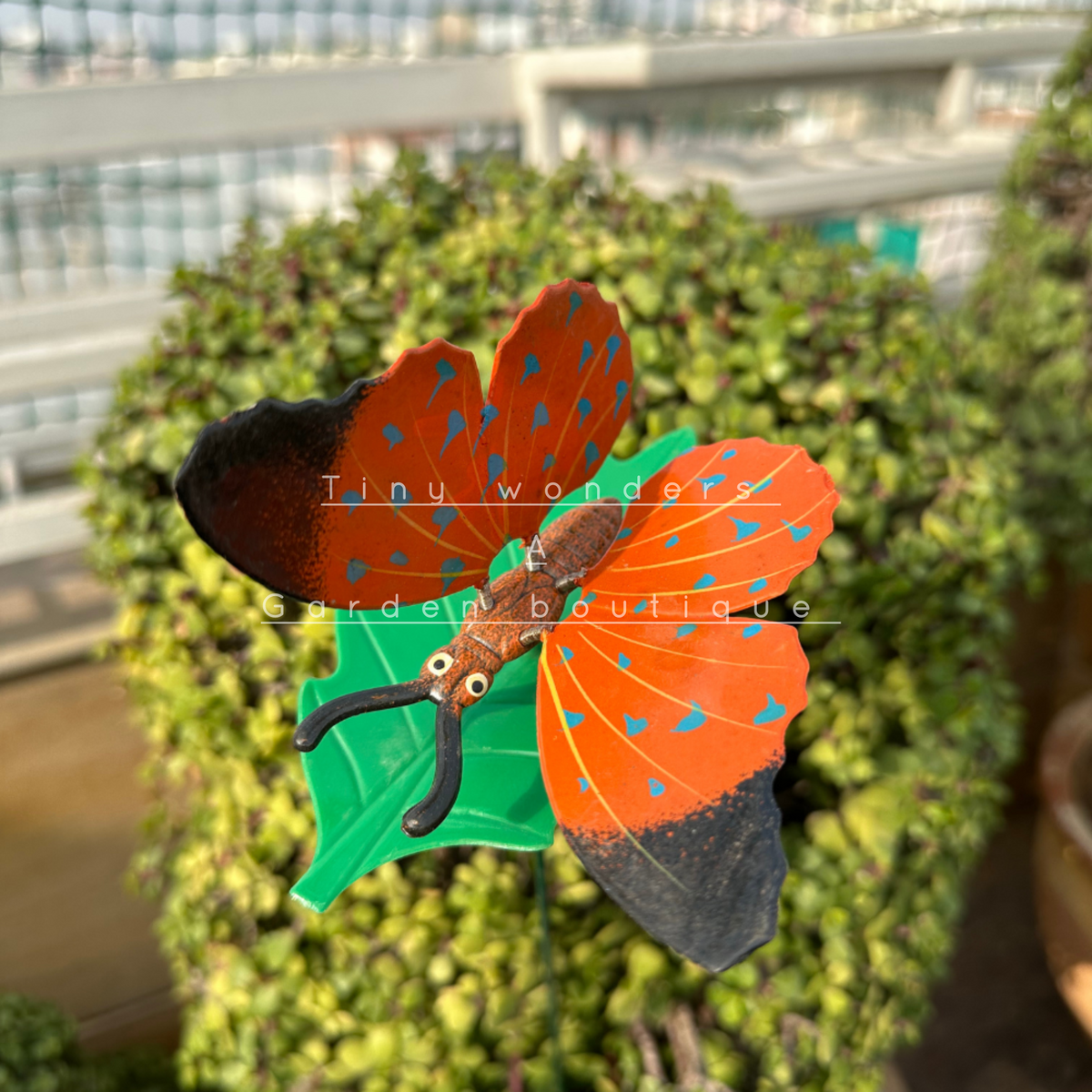 #S25 Butterfly Orange 1 ( set of 4 )