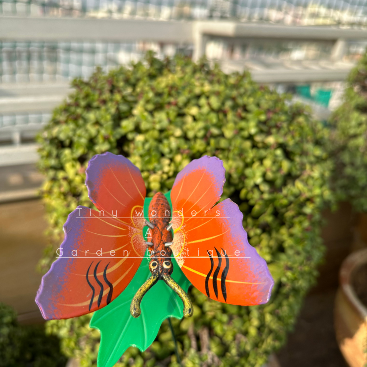 #S30 Butterfly Orange 2 ( set of 4 )