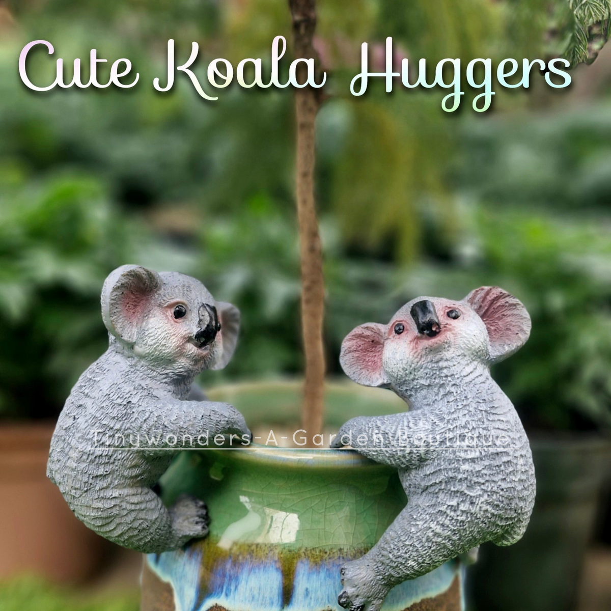 The Koala Bear Plant Huggers ( per unit )
