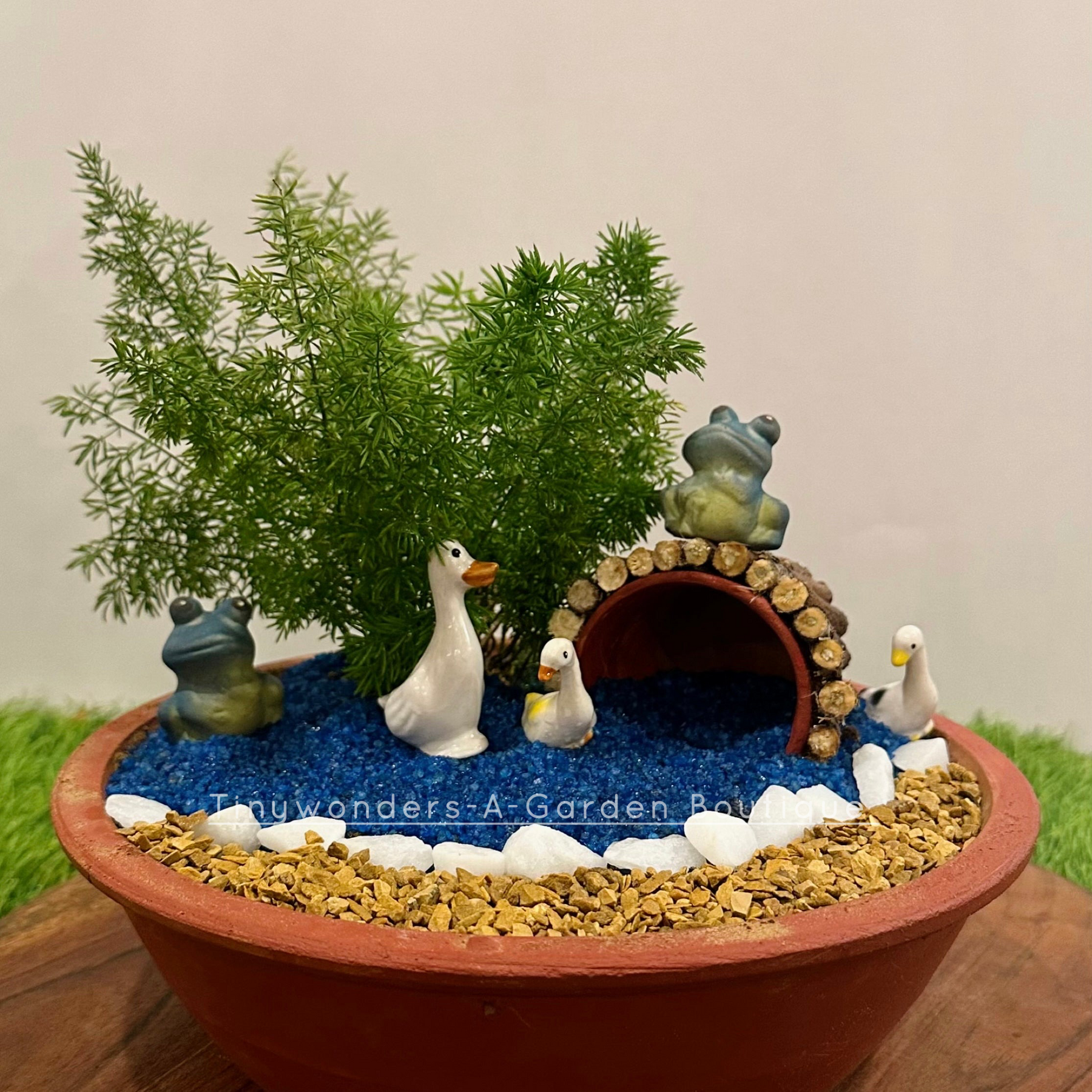 Mothers love tray garden