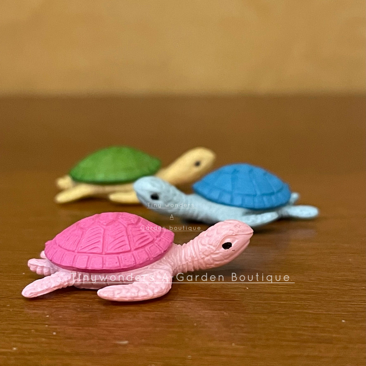 #003 Miniature Turtle (Set Of 3 )