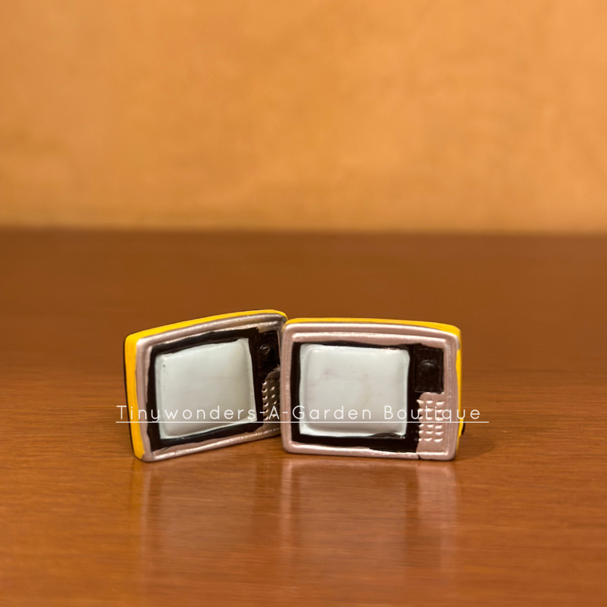 #360 Miniature Television ( Set Of 2 ) Random Colour