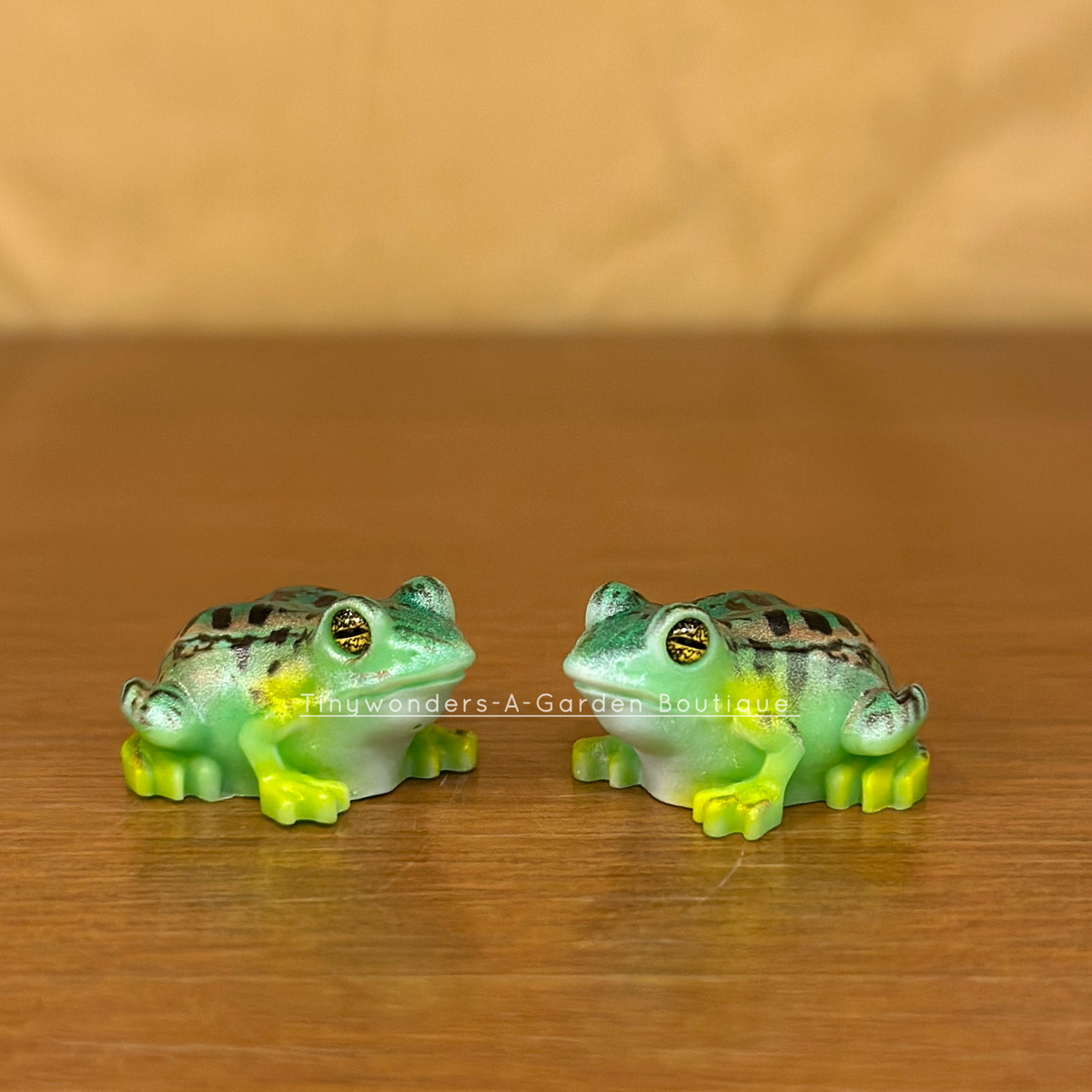 #456 Colourful Toad ( Set Of 2 )Random Colour