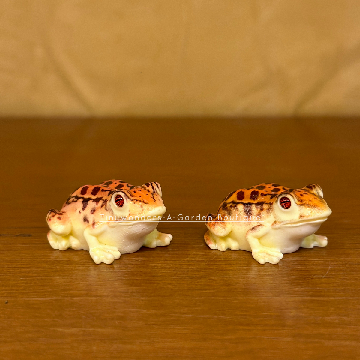 #456 Colourful Toad ( Set Of 2 )Random Colour