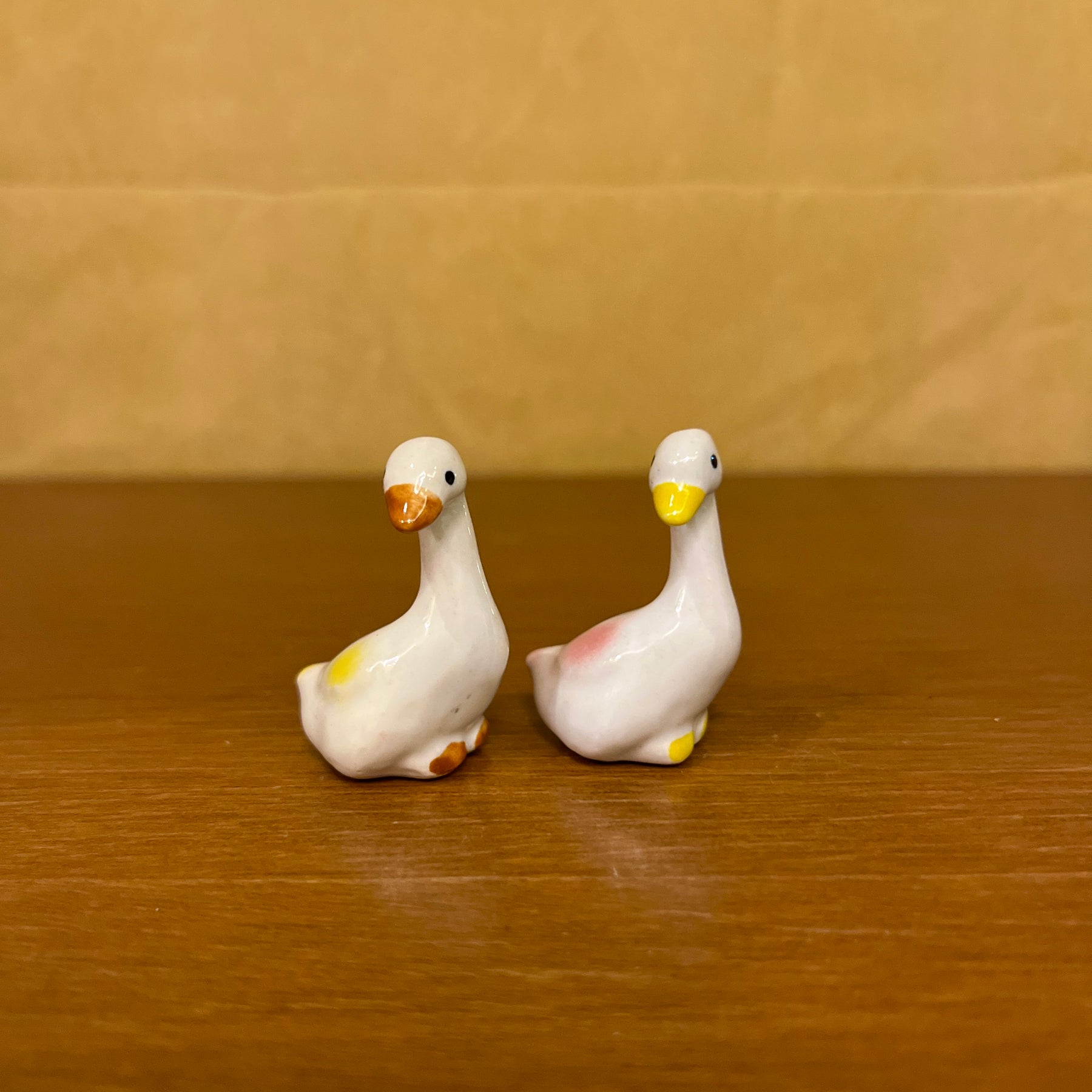 #C6 Duck (SET OF 2)