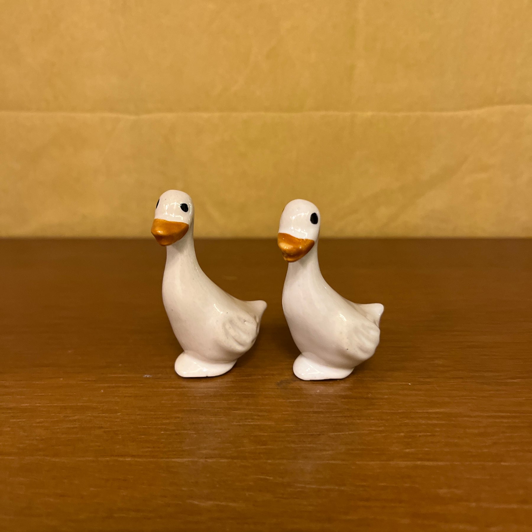 #C9 Duck (SET OF 2)